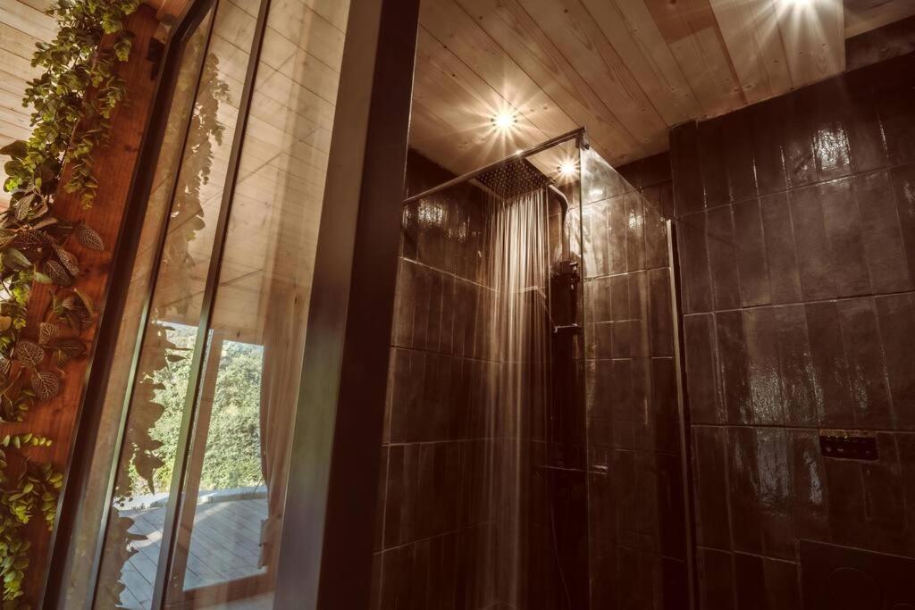 Chalet Jane